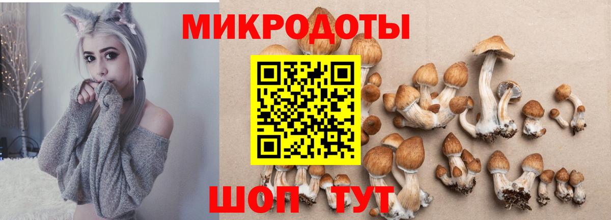 Ростов-на-Дону  Псилоцибиновые грибы Magic Shrooms  Вход с VPN 